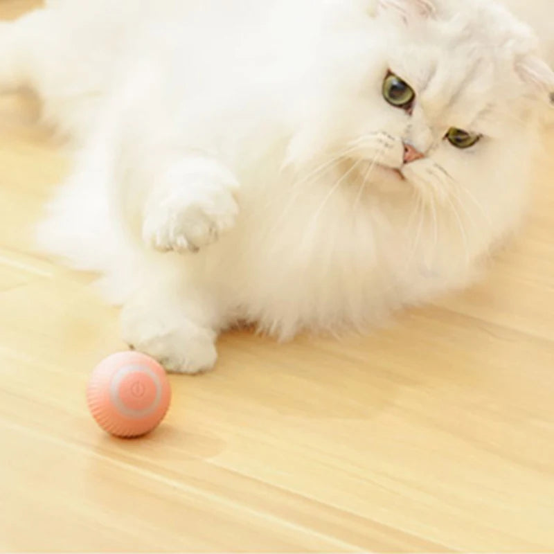 WhirlPlay Automatic Cat Ball