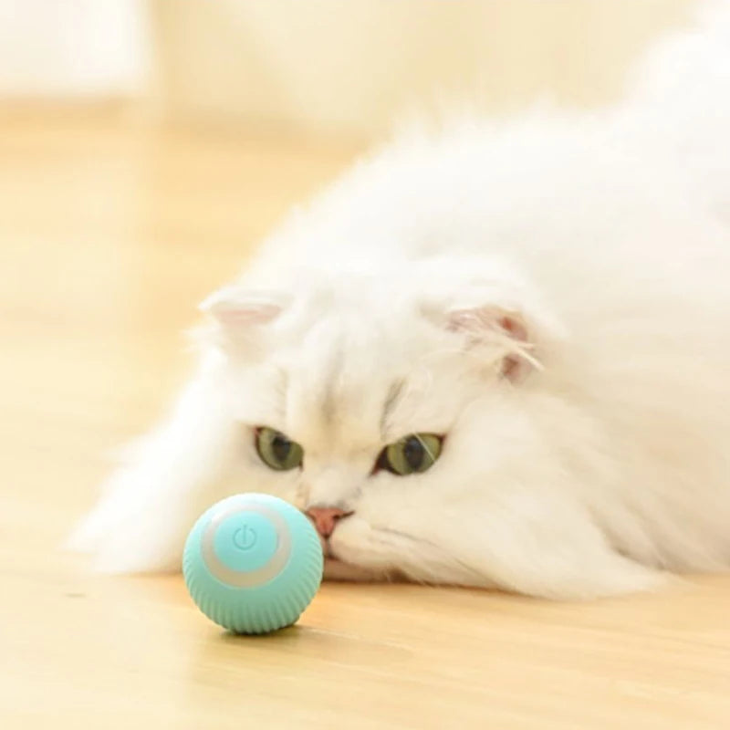 WhirlPlay Automatic Cat Ball