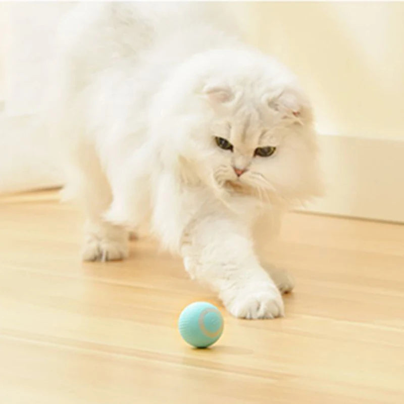 WhirlPlay Automatic Cat Ball