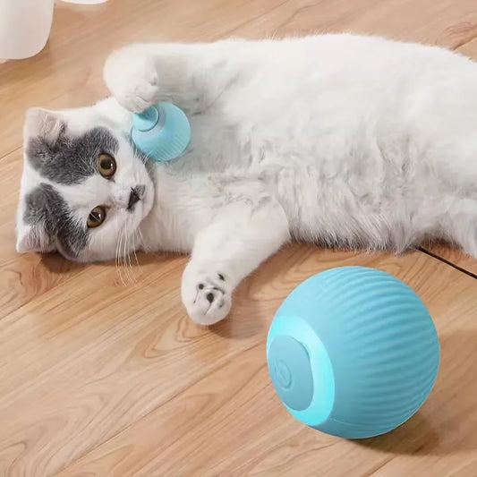 WhirlPlay Automatic Cat Ball