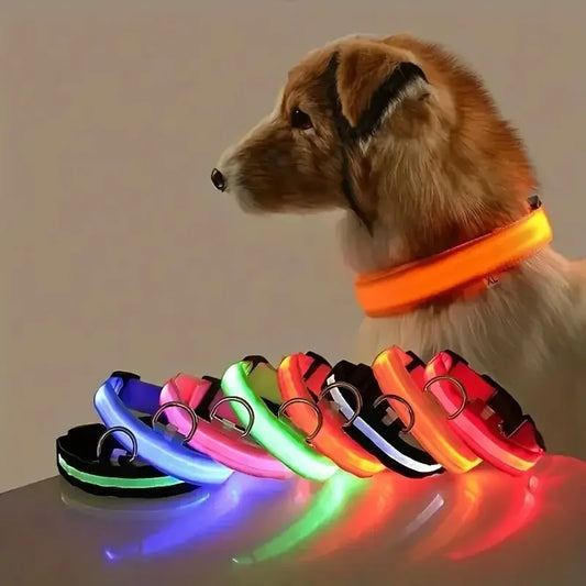 GlowSafe LED Dog Collar